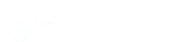 Pan-Am-Historical-Foundation-logo-600x